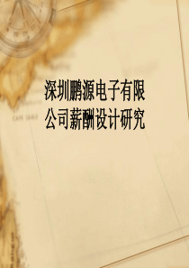深圳鹏源电子有限公司