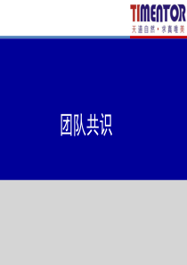 团队共识(讲师版)