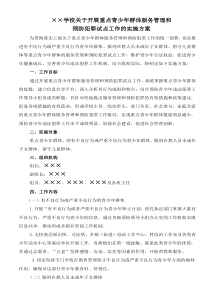 重点青少年群体服务管理工作方案