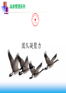 团队凝聚力