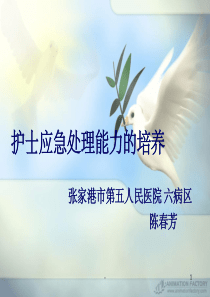 护士应急处理能力的培养-ppt