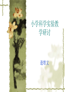 小学科学实验教学培训-PPT课件