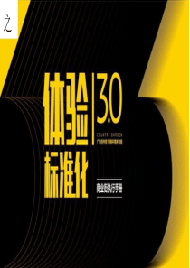 【商业】体验标准化3.0商业街库执行手册(碧桂园)