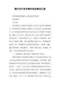 银行支行农村青年创业情况汇报