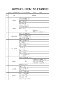 驻村工作队十项任务表