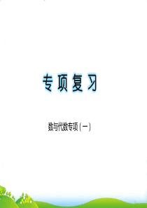 二年级上册数学习题课件：数与代数一专项复习【人教新课标】
