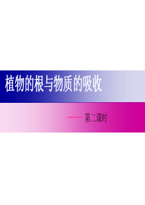植物的根与物质的吸收-PPT课件