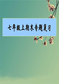 七年级上册数学期末专题复习.ppt