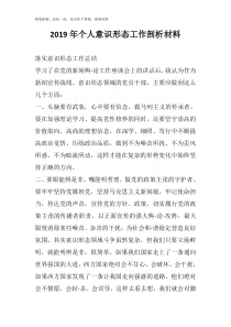 2019年个人意识形态工作剖析材料