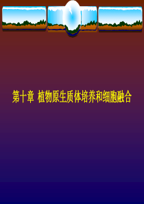 第十章植物原生质体培养和细胞融合