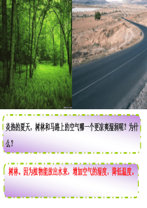 绿色植物的蒸腾作用