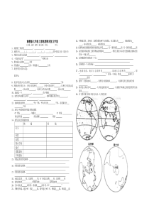 湘教版七年级地理上册期末复习导学案(精品)