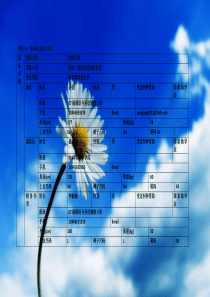 向导计划书范本