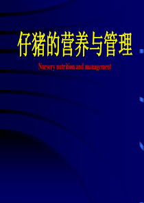仔猪的营养和管理概要