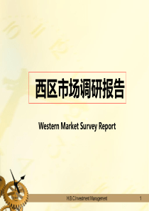 西区项目市场调查1报告