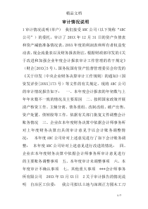 审计情况说明