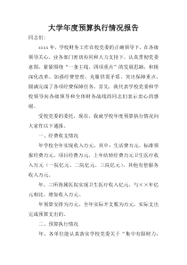 大学年度预算执行情况报告