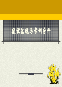 建设法规与典型案例分析