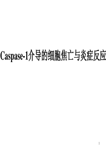 细胞焦亡Caspase-1-induced-pyroptotic-cellPPT精选文档