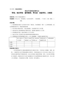 实验报告——探究平面镜成像特点
