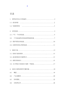 商业计划书中文版