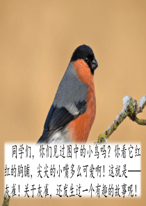 部编版语文三年级上册《灰雀》ppt课件