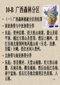 10-b--广西森林分区