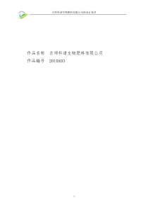 商业计划书模板XXXXA03