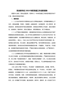 党支部书记XX年抓党建工作述职报告