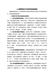 xx镇领导班子分析研判自查报告