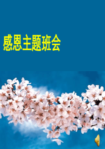 感恩主题班会