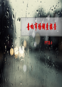 音响市场调查报告