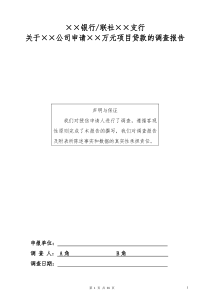 项目贷款调查报告模板