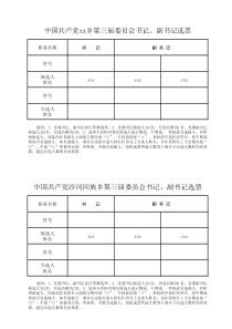 党委书记副书记选票