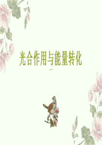 《光合作用与能量转化》优秀课件1