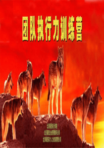 团队执行力讲义