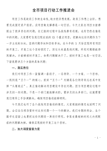 在全市项目行动工作推进会上的讲话