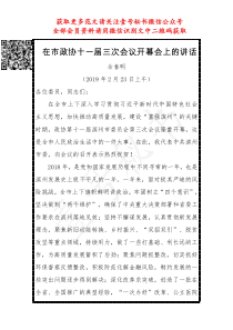 佘春明在市政协十一届三次会议开幕会上的讲话