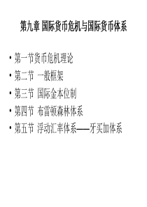 第九章国际货币危机与国际货币体系