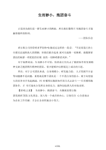 团队文化（DOC32页）