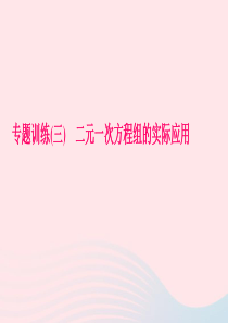八年级数学上册专题训练三二元一次方程组的实际应用课件新版北师大版