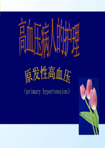高血压病人的护理