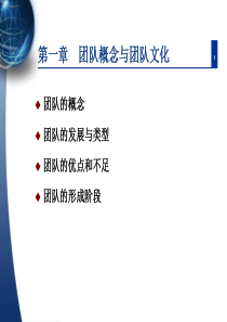 团队的概念