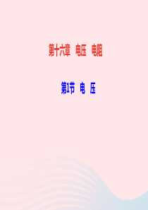 九年级物理全册第十六章电压电阻第1节电压作业课件新版新人教版