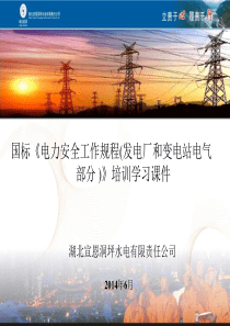 国标《电力安全工作规程(发电厂和变电站电气部分-)》培训学习课件