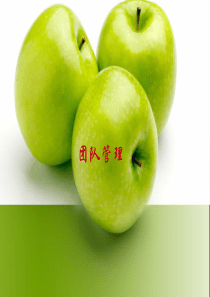 团队管理-西游记1