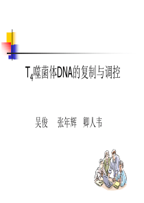 噬菌体的复制原理