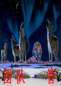 团队管理和激励