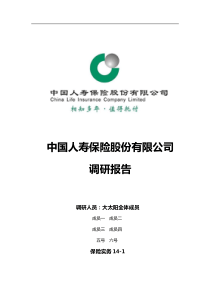 中国人寿保险有限公司调研报告