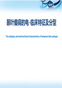 颞叶癫痫的分型幻灯片课件